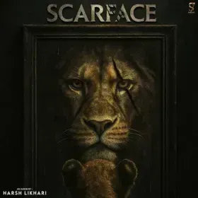 47 Cover