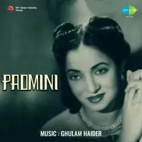 Hari Chunariya Wali Ka Dil Atka Cover