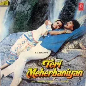Teri Meherbaniyan Cover