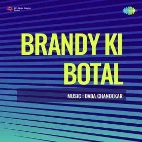 Bagicha Yeh Sarkari Cover