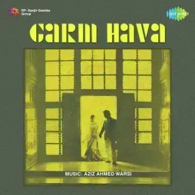Aaqa Salim Chishti Cover