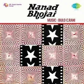 Gagan Path Ka Ek Pakheru Cover