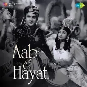 Mera Dil Meri Jaan Chahe Lele Cover