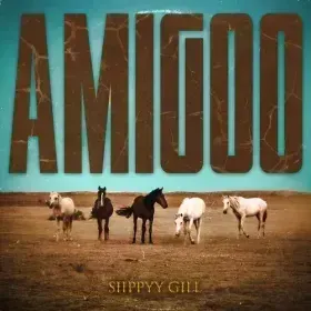 Amigoo Cover