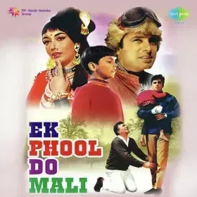 Chal Chal Re Naujawan Cover