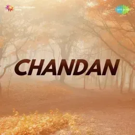 Nanadia Ban Jaoongi Cover