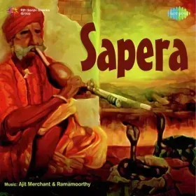 Raat Ne Gesu Bikhraye Cover