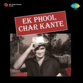 Sambhal Ke Karna Jo Kuchh Karna Cover