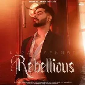 Marvelous&#10; Karan Sehmbi Cover