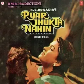 Tumse Milkar Na Jane (Duet) Cover