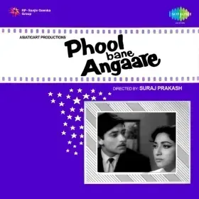 Sambhal To Le Dil Diwana Zara Cover