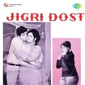 Phool Hai Baharon Ka Cover