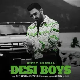 Desi Boys Cover