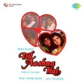 Dil Aashna Hai Title Track Cover