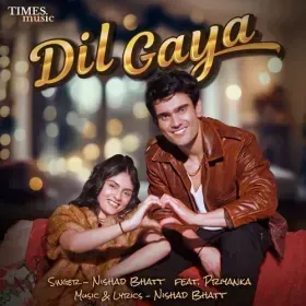 Dil Gaya Cover