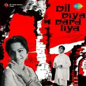 Dilruba Maine Tere Pyar Mein Cover