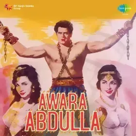 Dil Hai Zalim Nigahon Ka Mara Cover