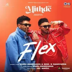Flex (From &amp;quot;Mithde&amp;quot;) Cover