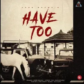 Have Too Cover