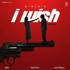 I Wish  - Ninja Cover