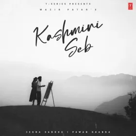 Kashmiri Seb Cover