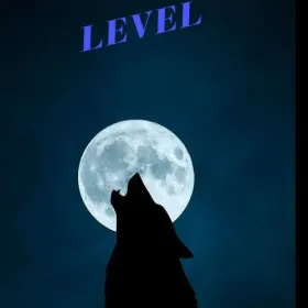 Level Cover