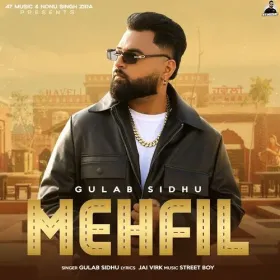 MEHFIL Cover