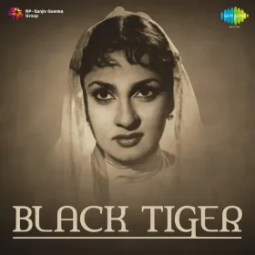 Parwana Kehta Kya Afsana Cover