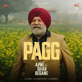 Pagg  - Ninja Cover