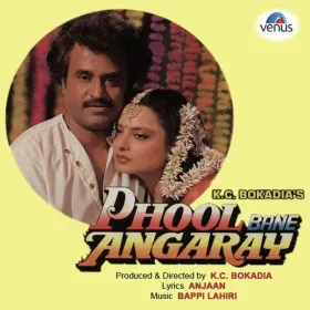 Dil Tera Jaan Teri Cover