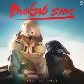 Punjab Side Cover