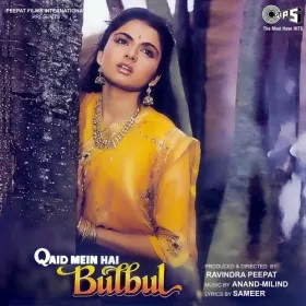 Phool Khile Aaye Din Bahaar Ke Cover