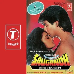 Teri Baahon Mein Jeena Hai Cover