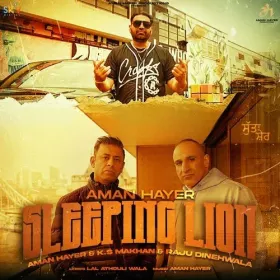 Sleeping Lion - Aman Hayer Cover