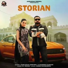 Storian Cover