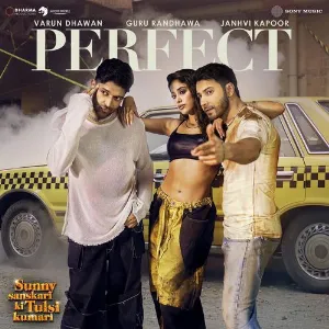 Perfect Guru Randhawa Cover
