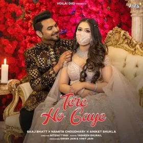 Tere Ho Gaye Cover
