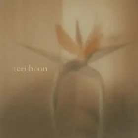 Teri Hoon Cover