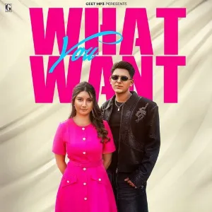 What You Want - Arjun Sahota Cover